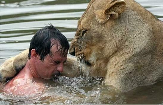 Guardabosques en Sudáfrica