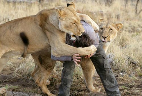 Guardabosques en Sudáfrica